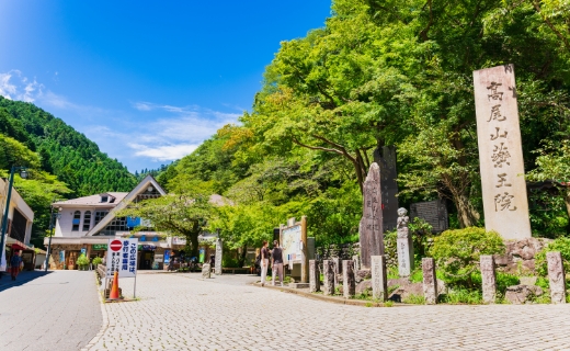 豊かな自然 3