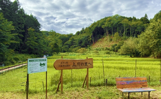 豊かな自然 5